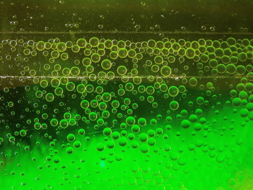 Photograph by Александр Бычков