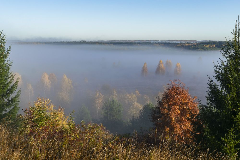 Фотография автора Галина Луценко
