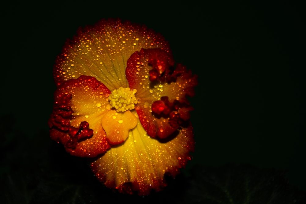 Photograph by Михаил Лавренков