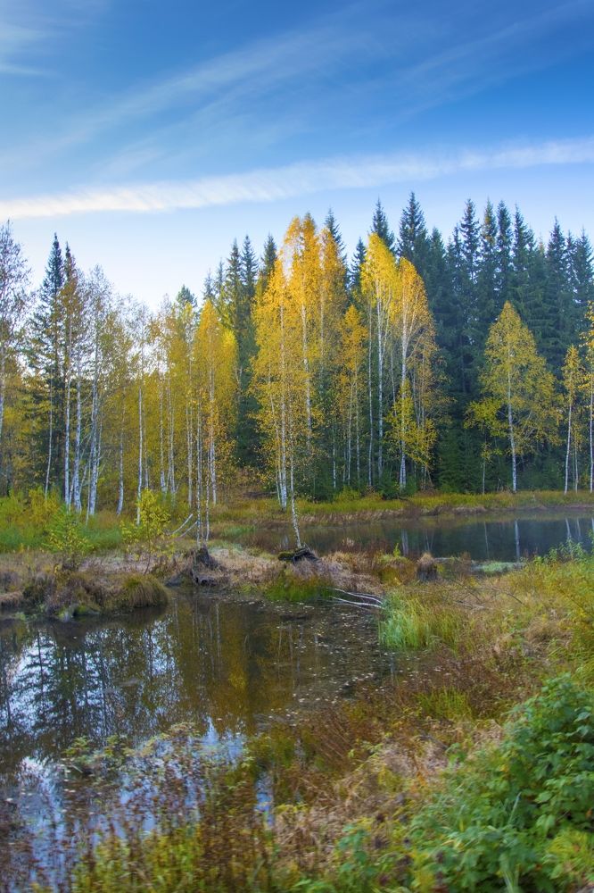 Photograph by Михаил Лавренков