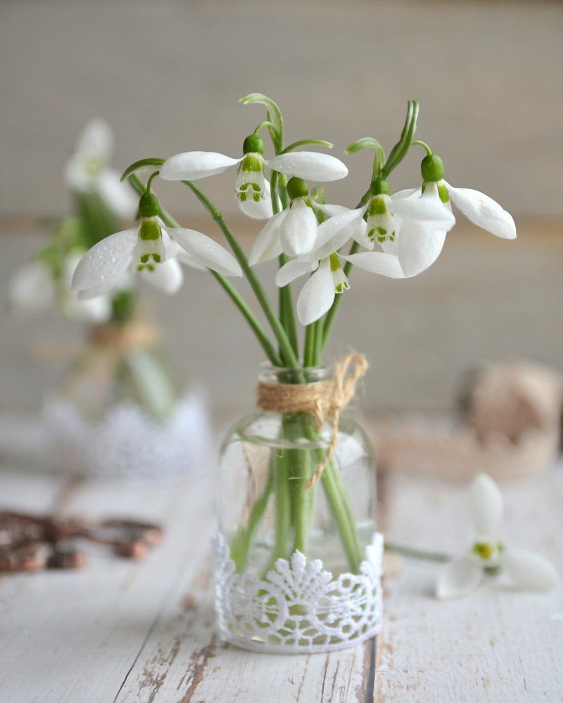 Photograph by Елена