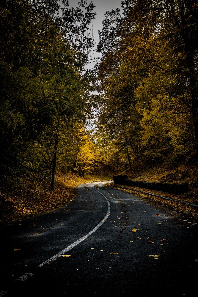 Photograph by Виктор Сердюков