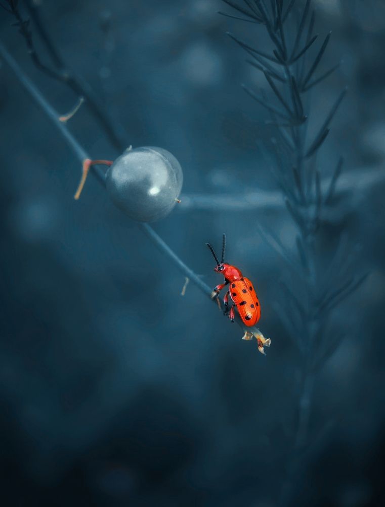 Photograph by Алексей