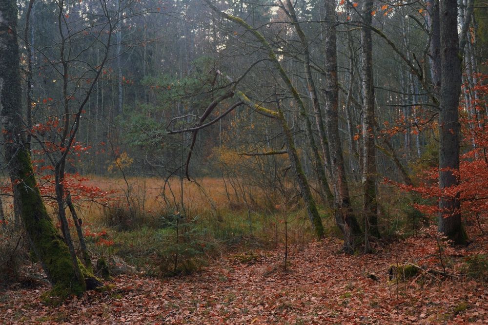 Photograph by Александр Гоцуляк