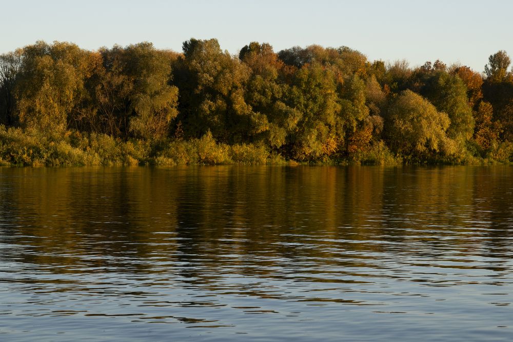 Photograph by Ольга Бегляк