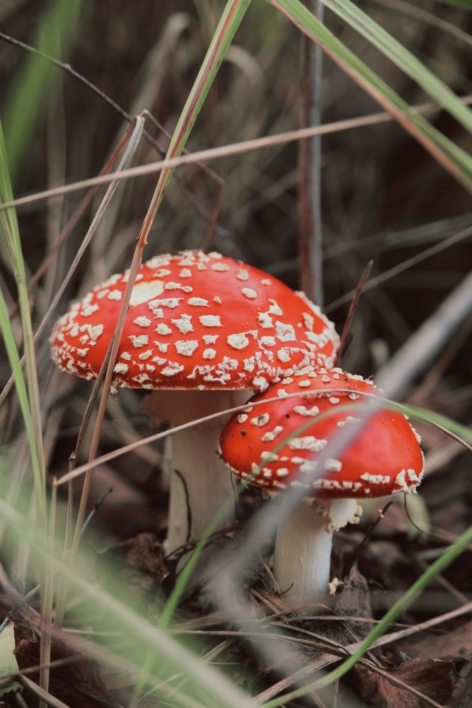 Photograph by Александр Гоцуляк