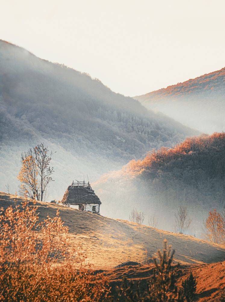 Фотография автора Leompescu Emanuel