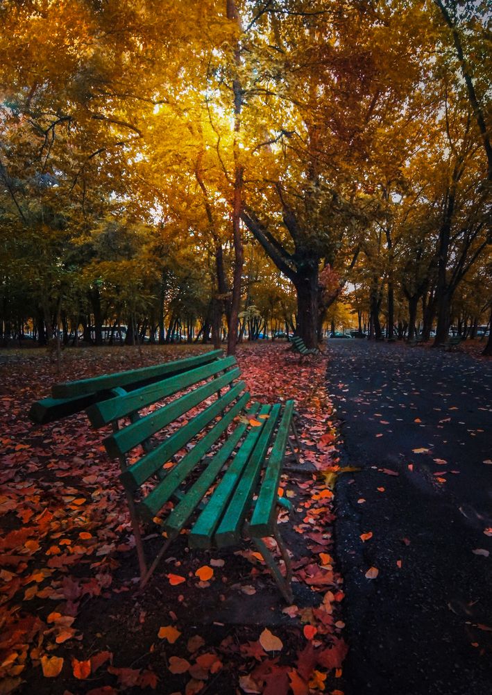 Фотография автора Leompescu Emanuel