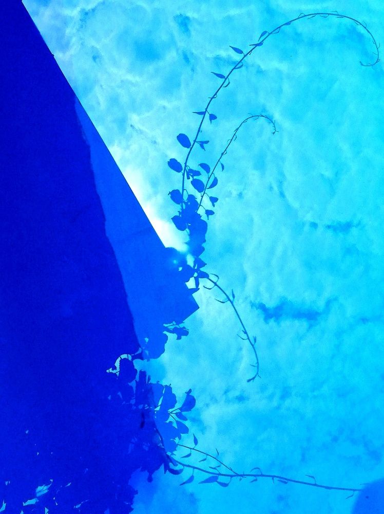 Photograph by Светлана Веселовская