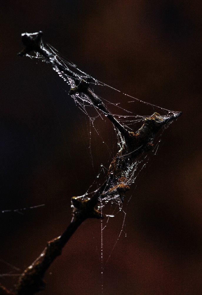 Photograph by Александр Зарх