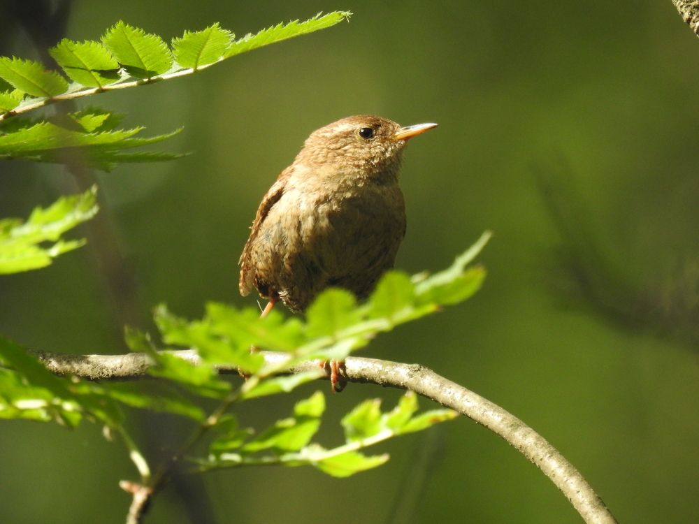 Photograph by Георгий Салюков