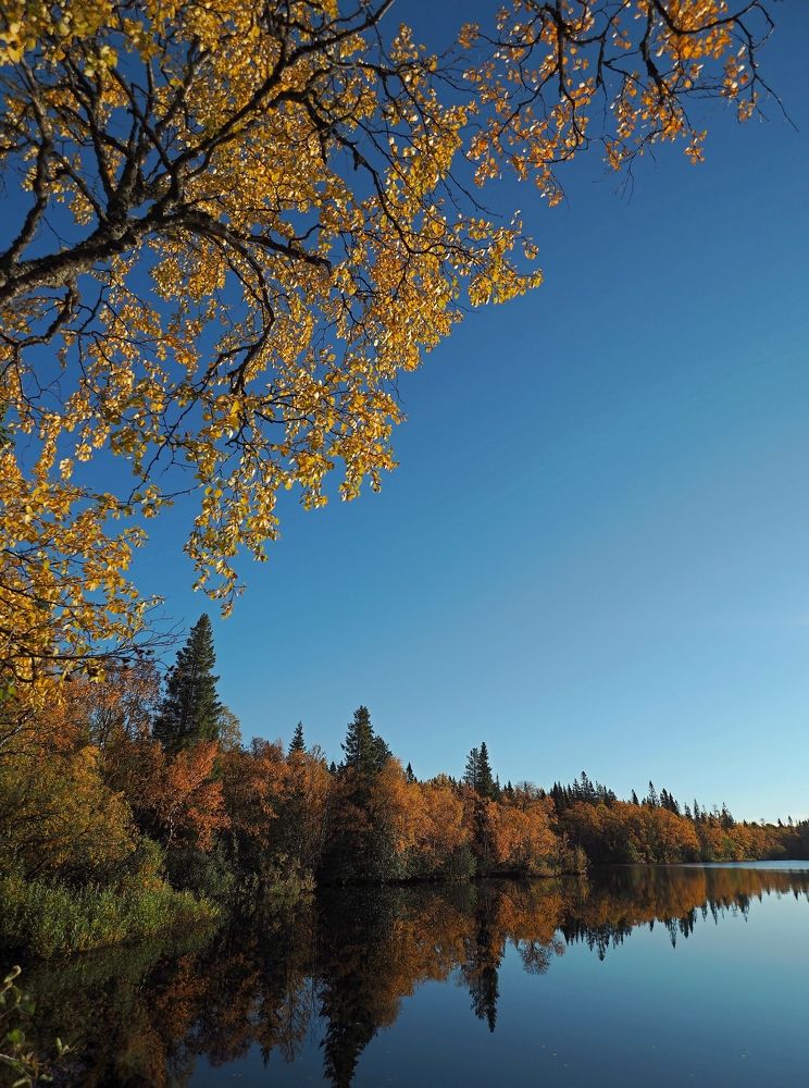 Photograph by Евгений Яковлев