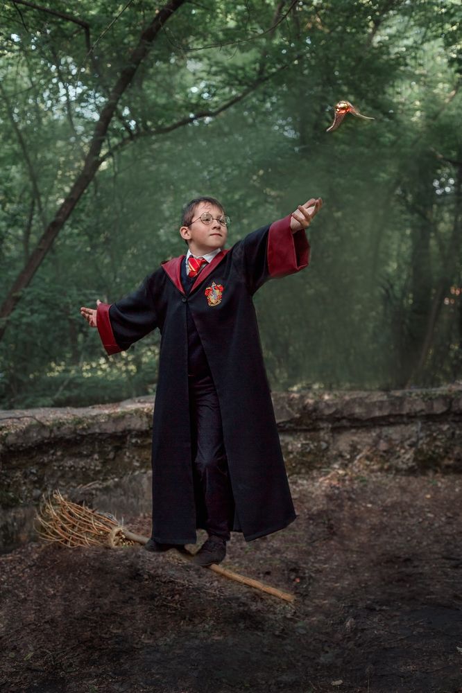 Гарри Поттер и золотой снитч.