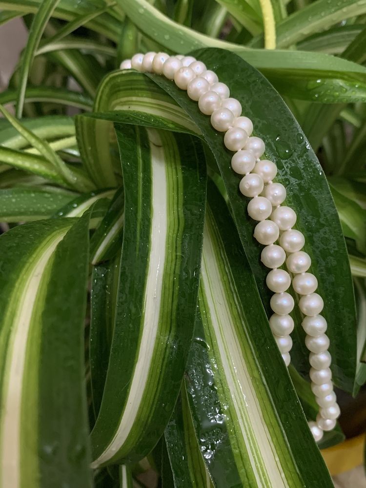 Photograph by Елена Макуха