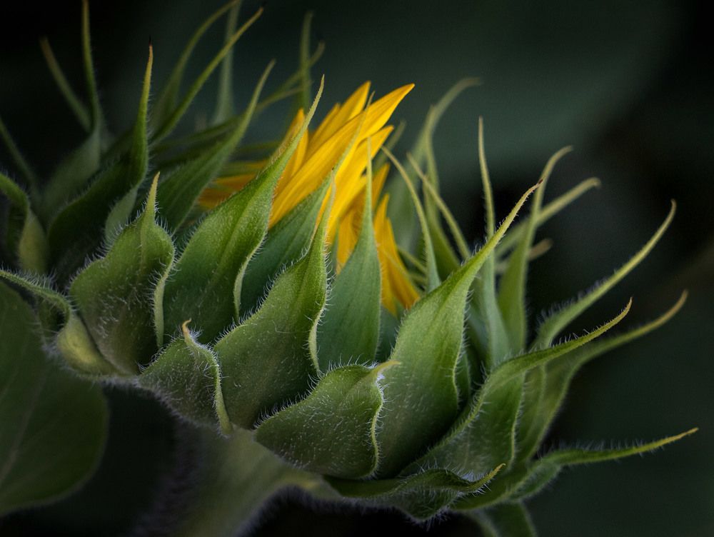 Photograph by Тамара Андреева