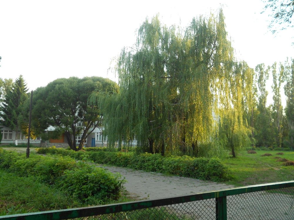 Photograph by Любовь Панфилова