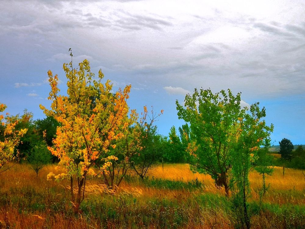 Photograph by Nikolett Mengyi