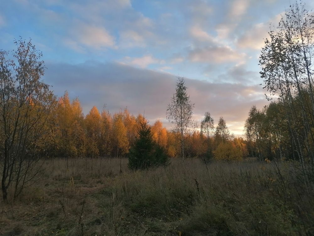 Photograph by Олег Россохин