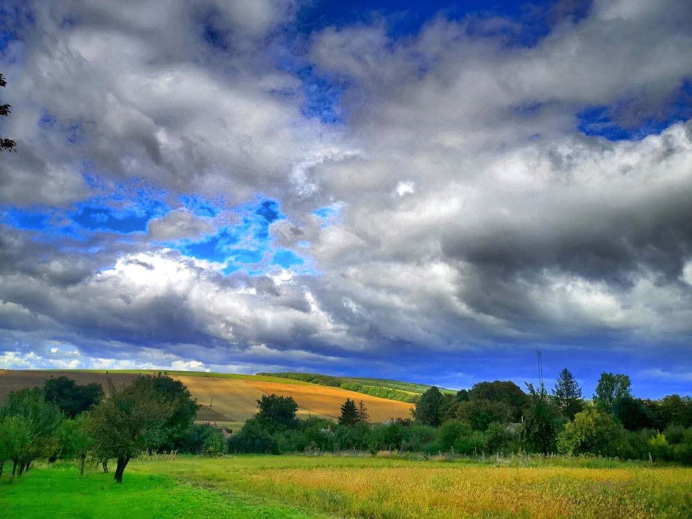 Photograph by Nikolett Mengyi