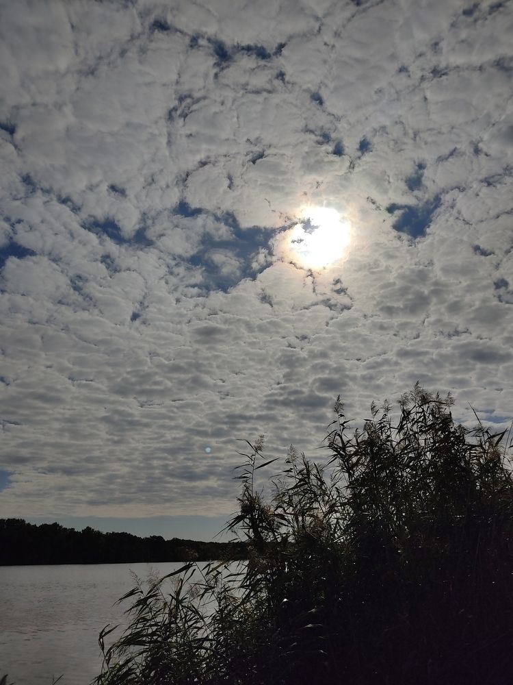 Солнце в облака.