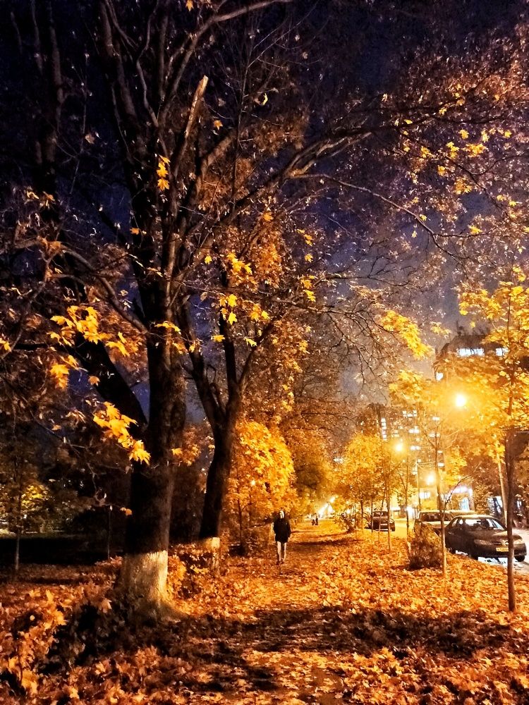 Photograph by Олеся Зеленщикова