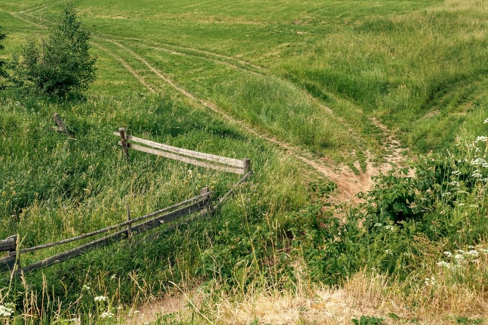 Photograph by Oleg Gerasimov