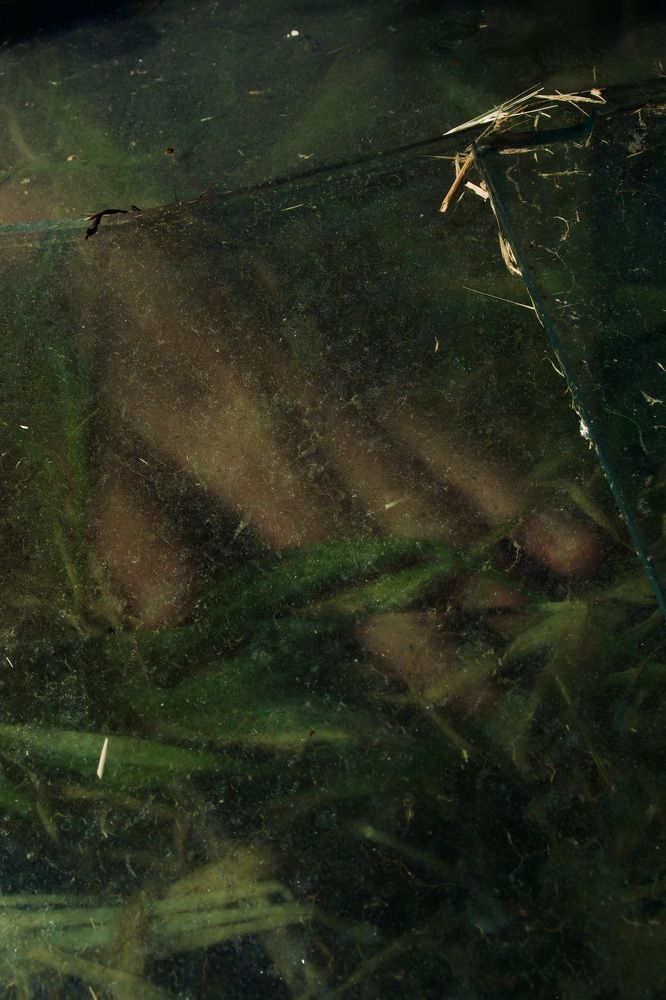 Photograph by Oseeva Elizaveta