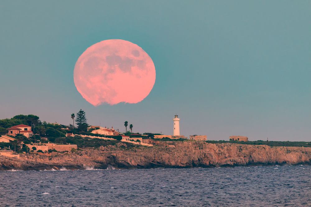 Photograph by Massimo Tamajo