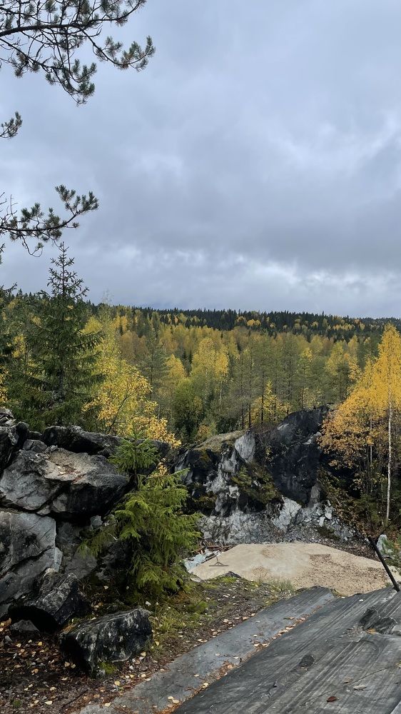 Photograph by Анастасия Майорова