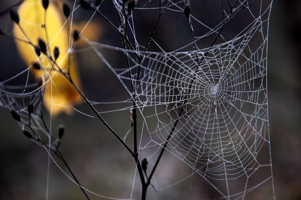 Photograph by Александр Козин