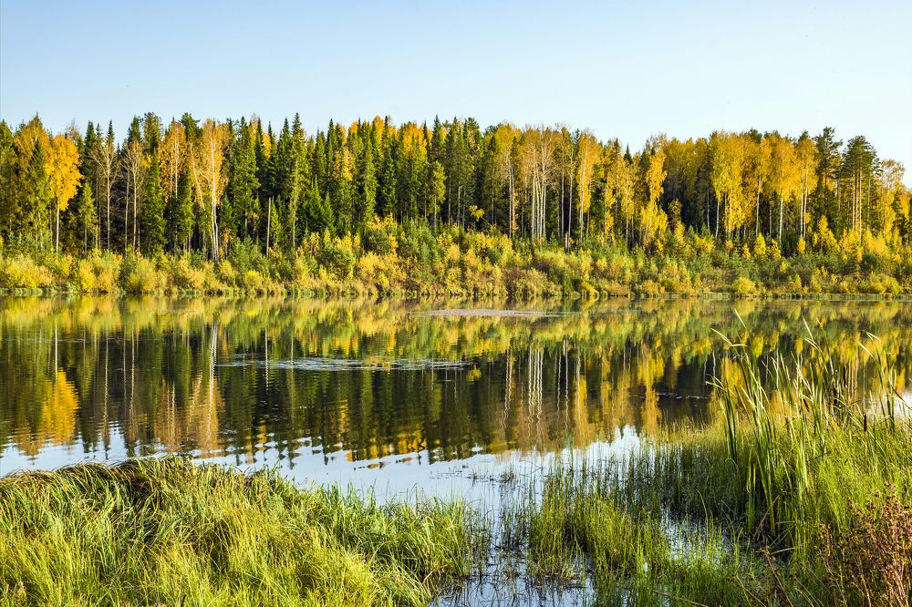 Photograph by Елена Чудиновских