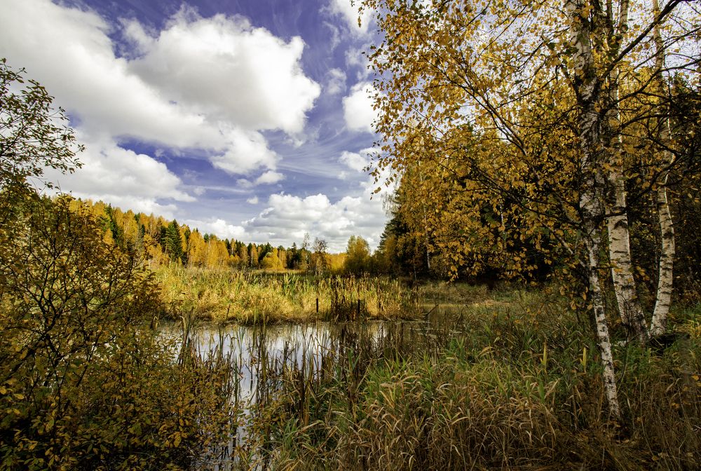 Photograph by Константин Козырев