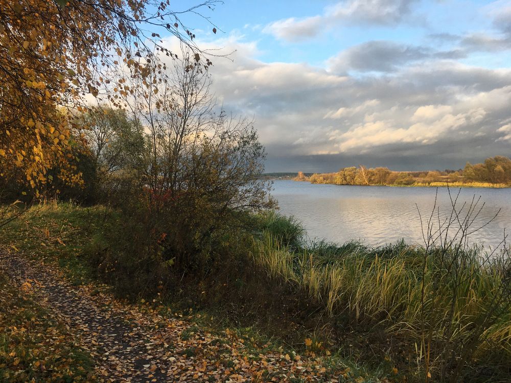 Фотография автора Ольга Горюнова