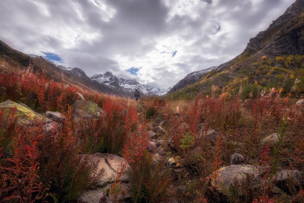 Photograph by Кахарова Наргиза