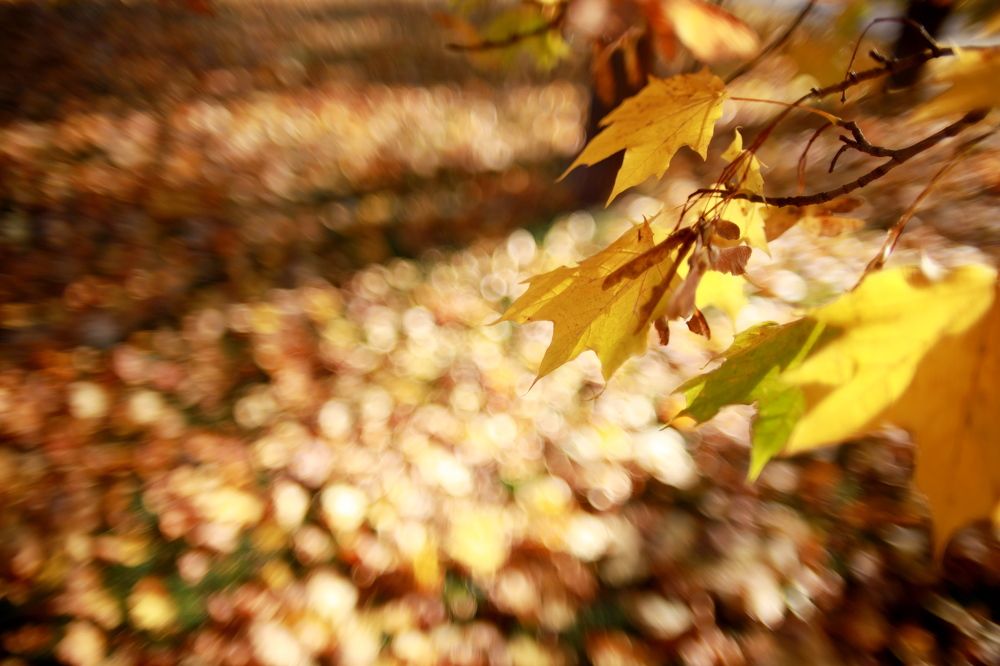 Photograph by Игорь Кад