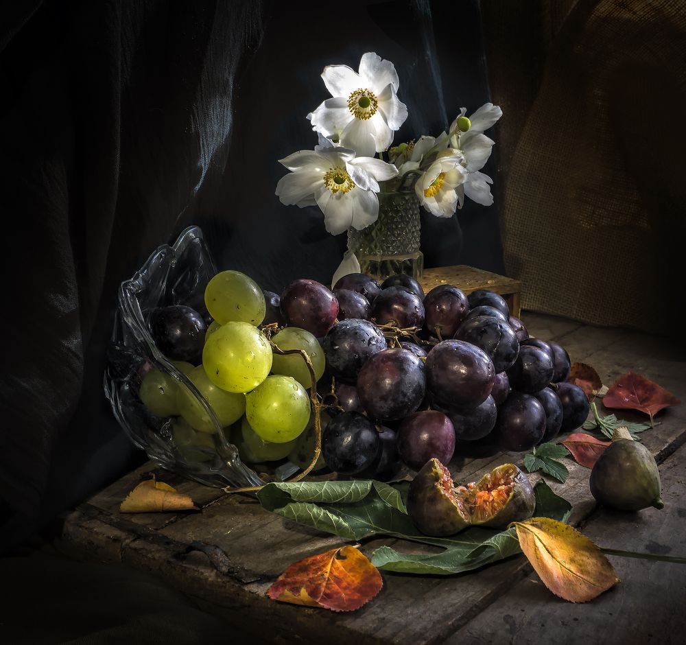 Фотография автора Milena Ivanova