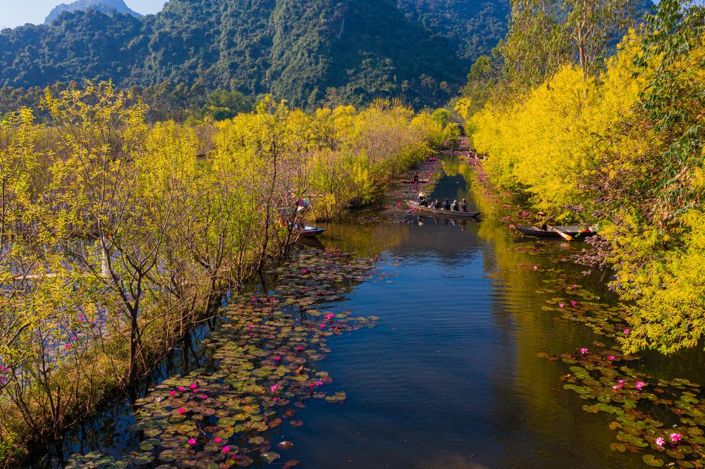 Photograph by TRAN QUY