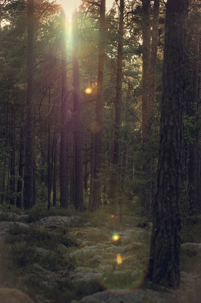 Photograph by Margarita Zakaryan