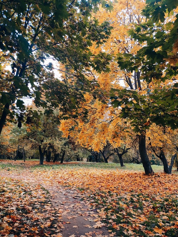 Photograph by Tatsiana Khinevich