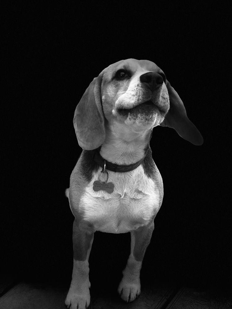 Photograph by Данил Богданов
