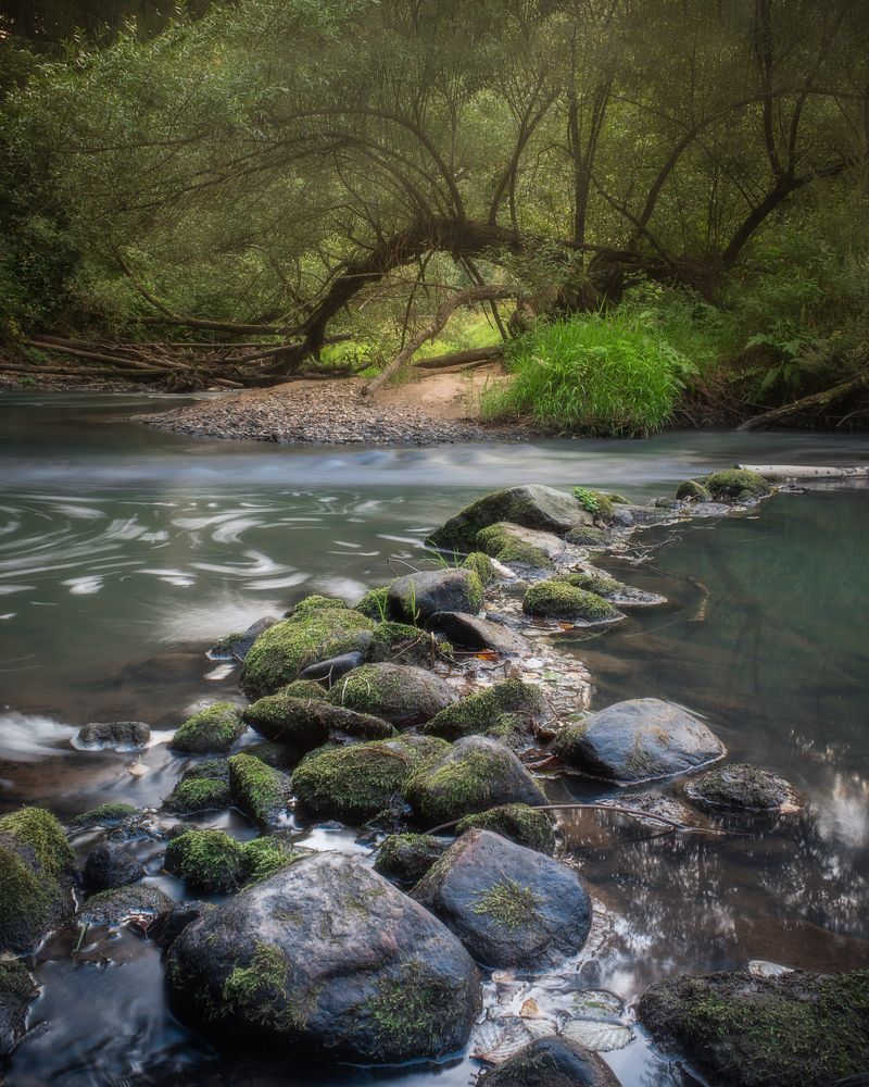 Photograph by Артем Зубарев
