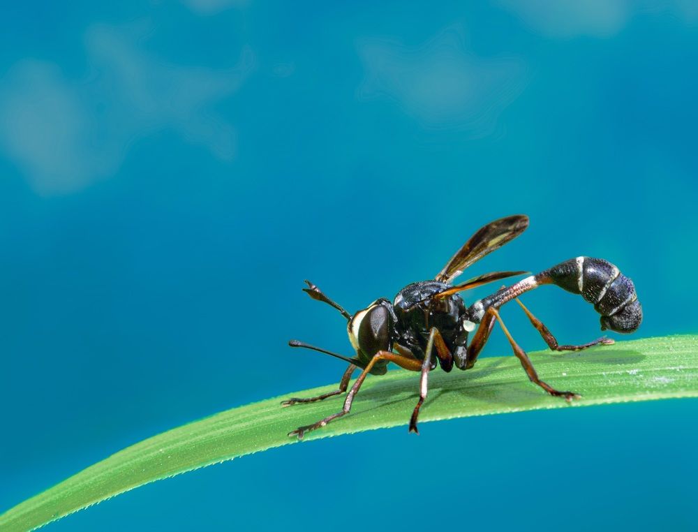 Photograph by Галина Суровицкая