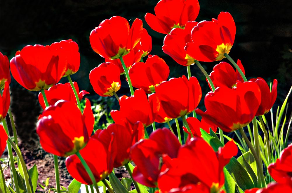 Photograph by Владимир Краснов