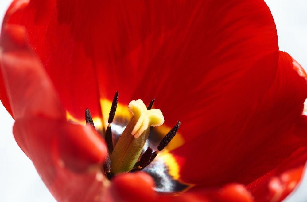 Photograph by Владимир Краснов