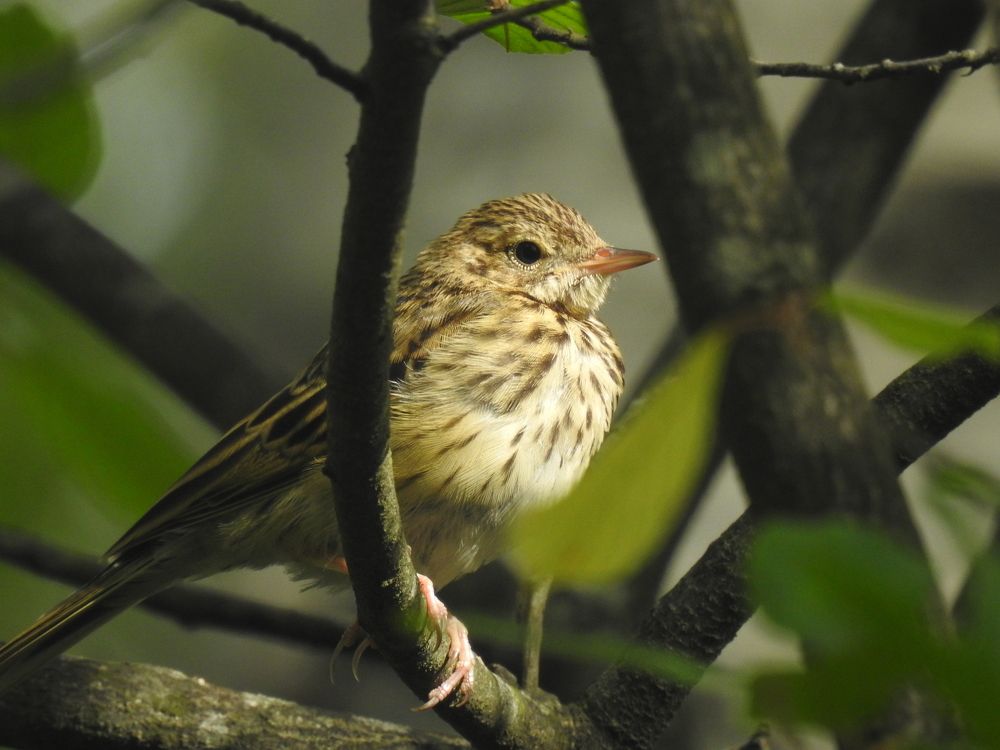 Photograph by Георгий Салюков