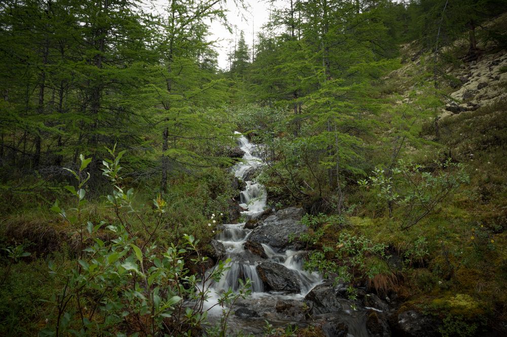 Горный ручей