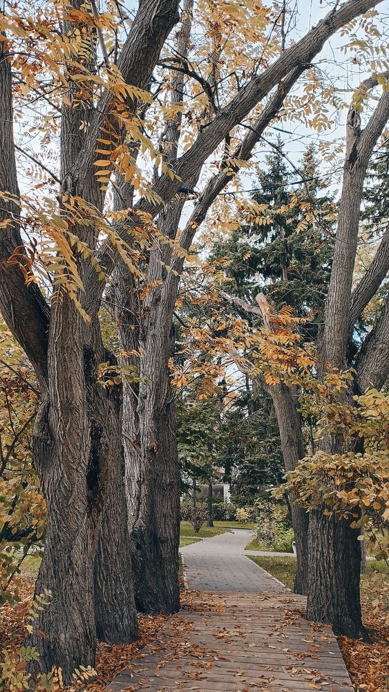 Photograph by Татьяна Третьякова