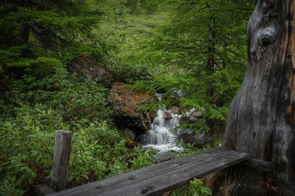 Горный ручей