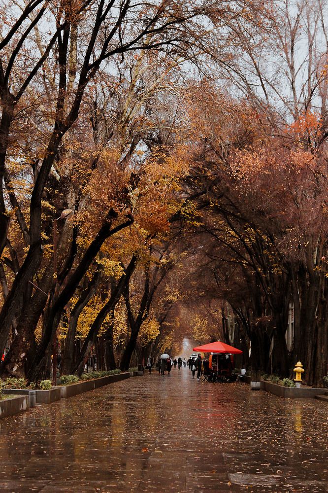 Photograph by samira farhadi