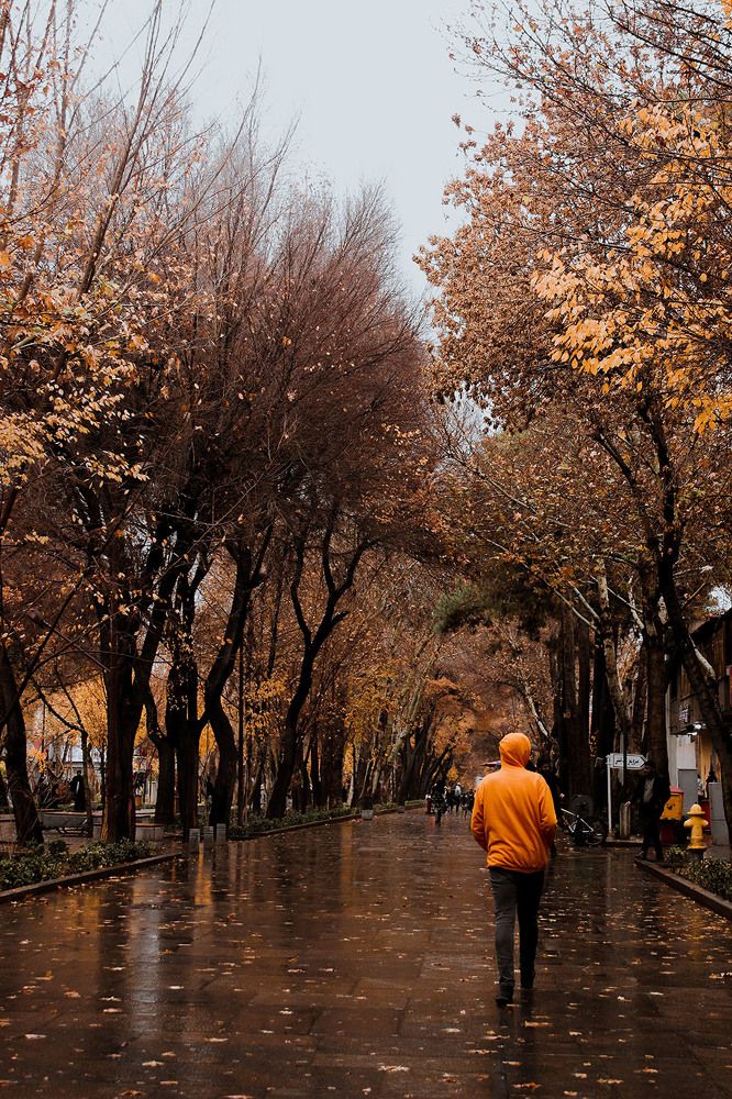 Photograph by samira farhadi